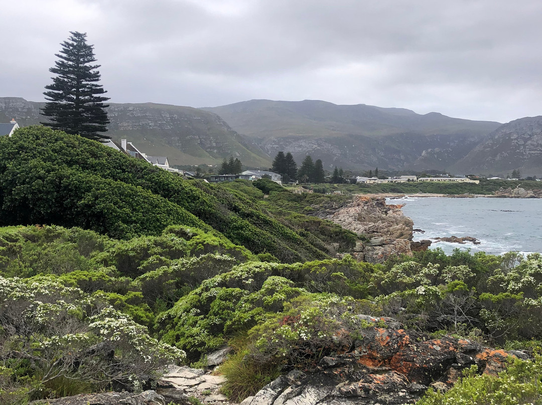 African Experience-Vredehoek必去景点