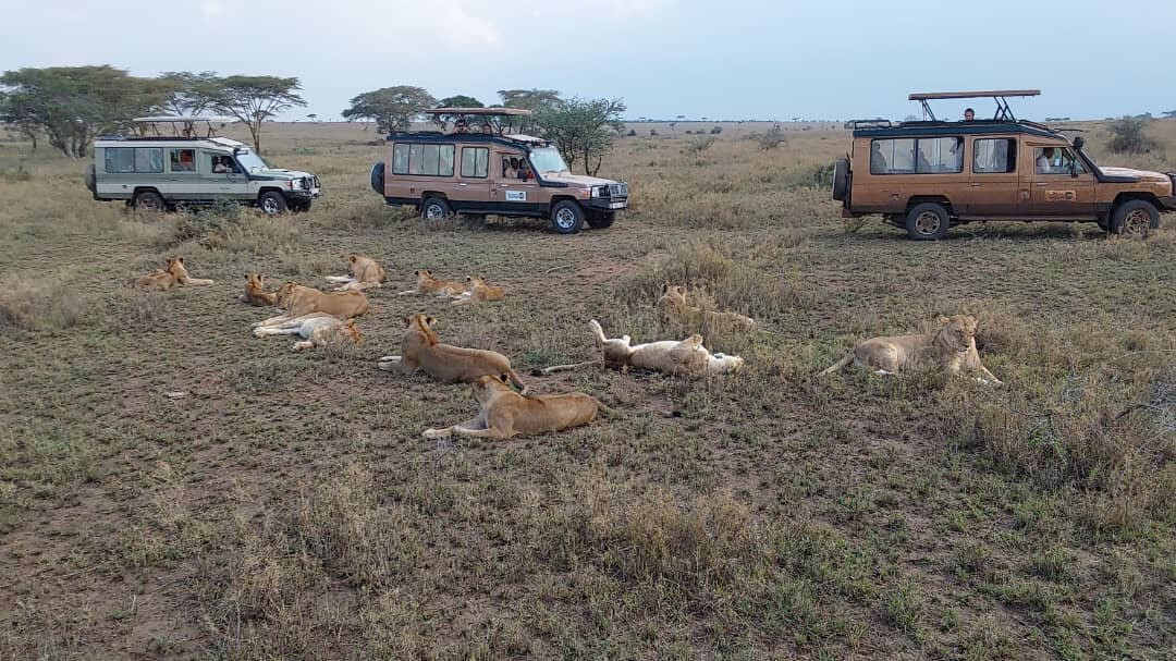 Witness Africa Safaris-Sakina必去景点