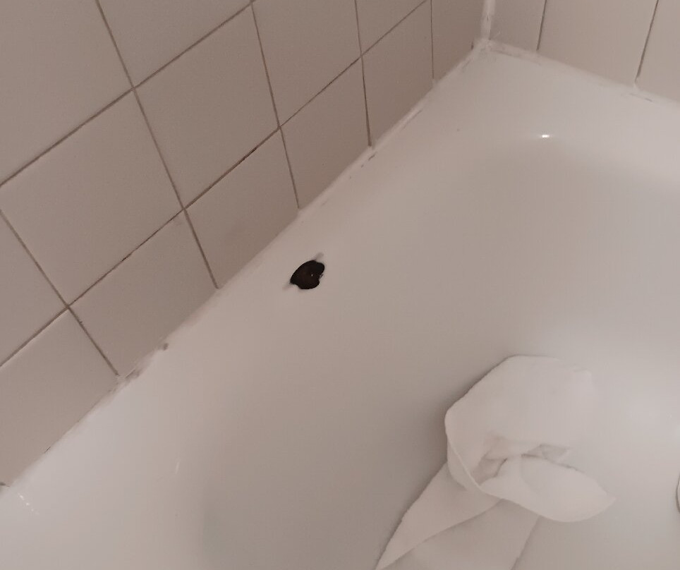 Red Roof Inn Ashtabula - Austinburg主图