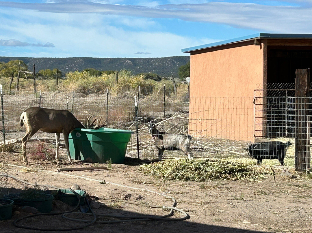 Casa Azul Bed & Breakfast主图