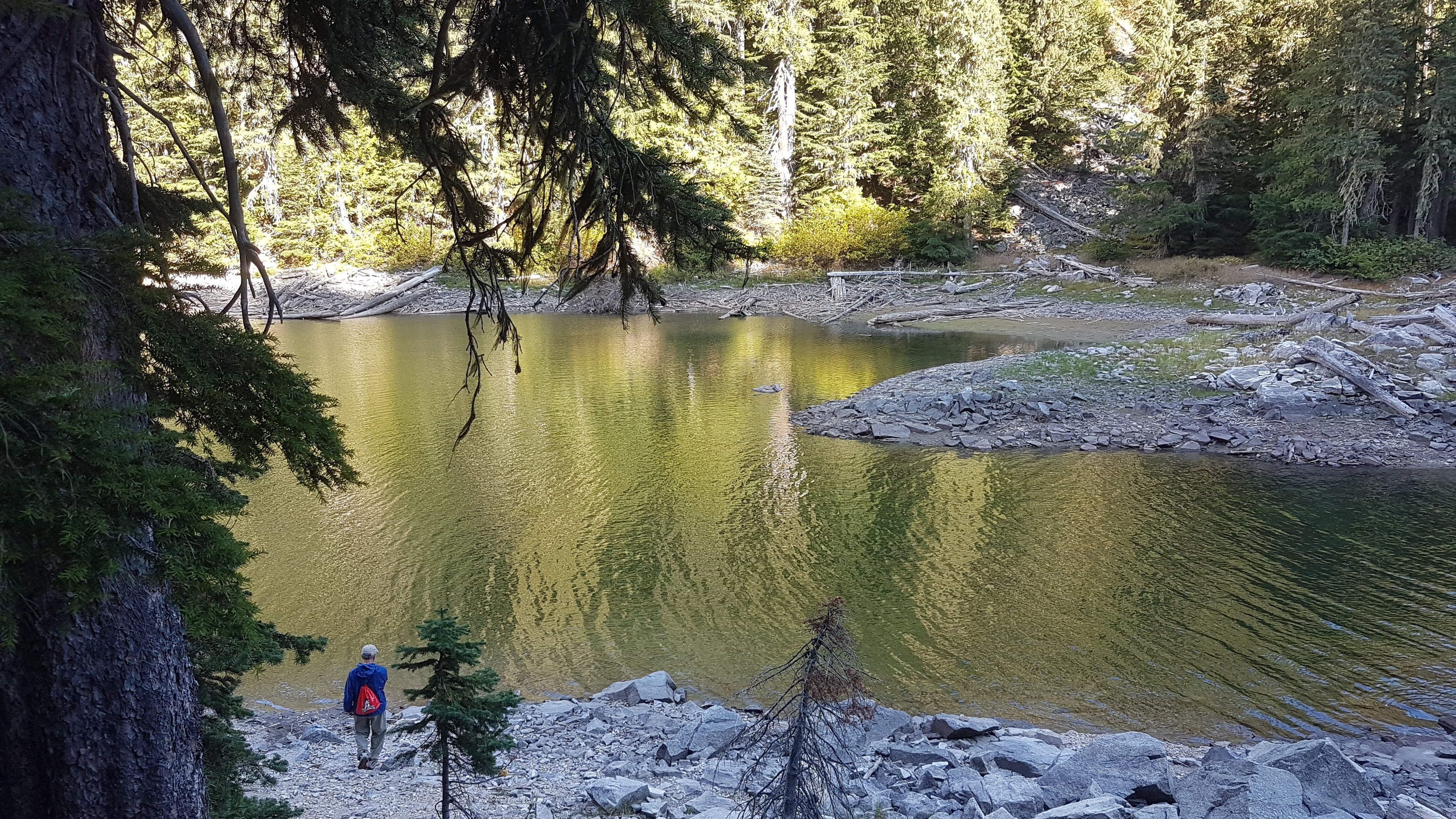 Nakusp Hot Springs Cedar Chalets-官方