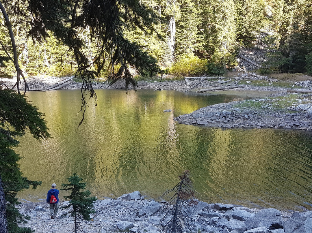 Nakusp Hot Springs Cedar Chalets主图