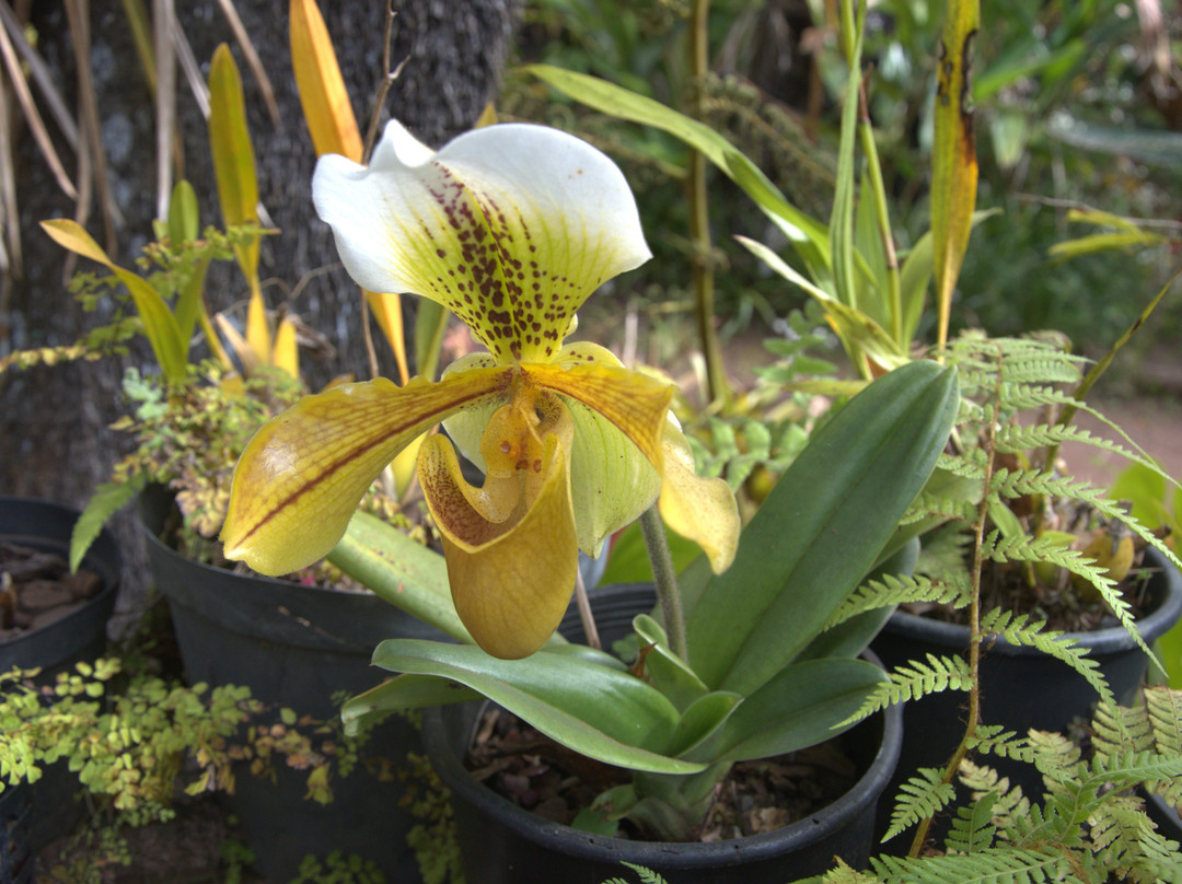 Maison Folio-埃勒堡必去景点