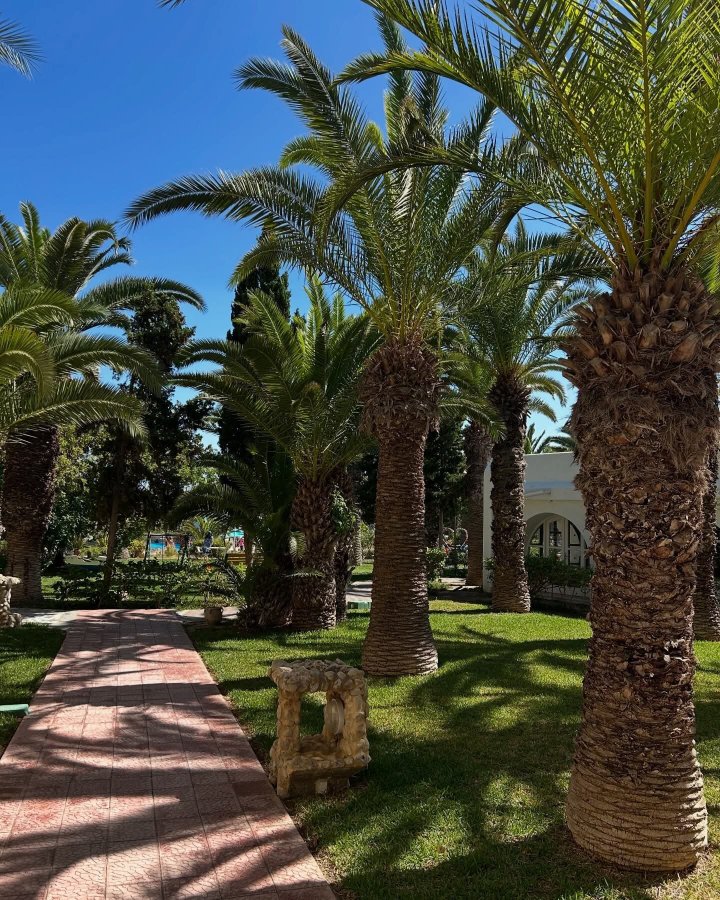 Mediterranee Thalasso Golf-泳池