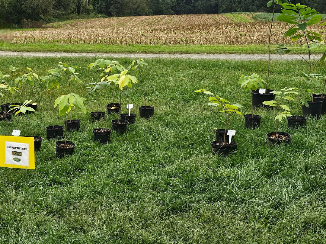 Susquehannock Wildlife Society-Darlington必去景点