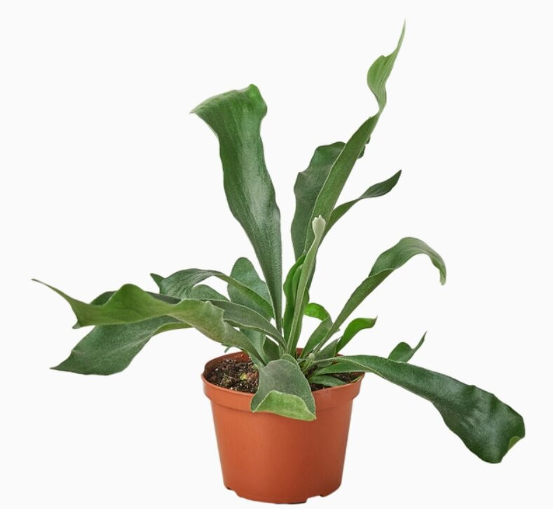 Unique Notions-High Springs必去景点