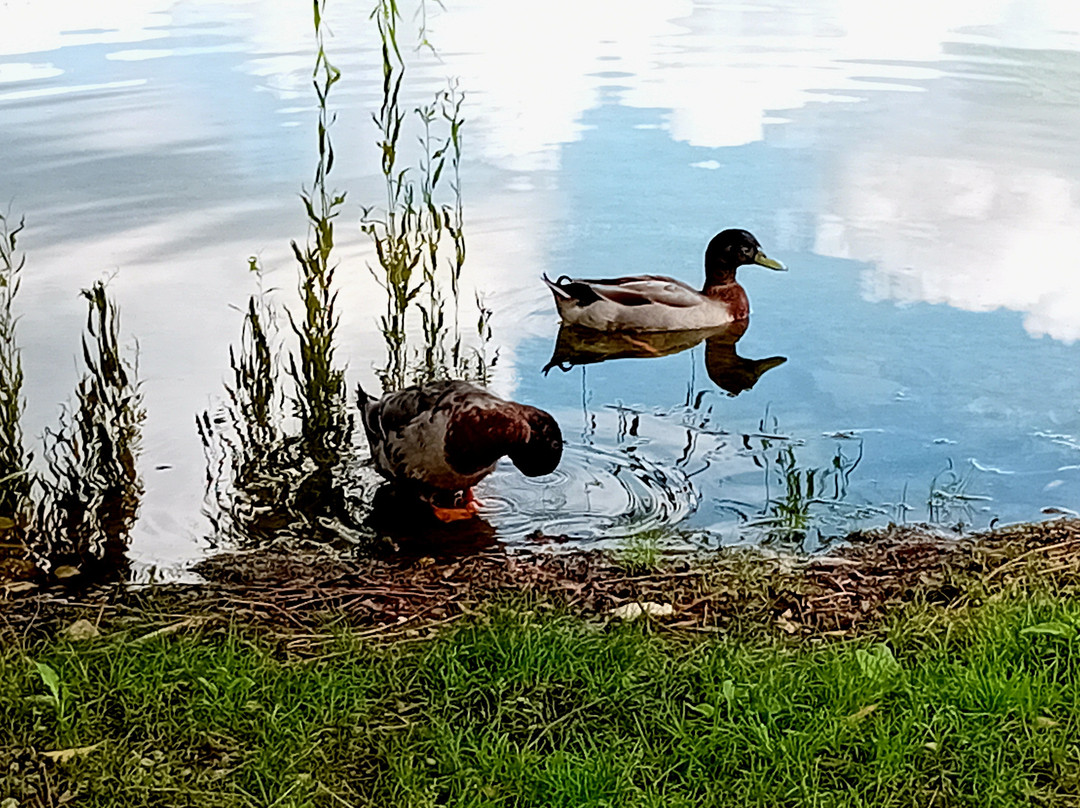 Lago di Santa Maria-Revine Lago必去景点