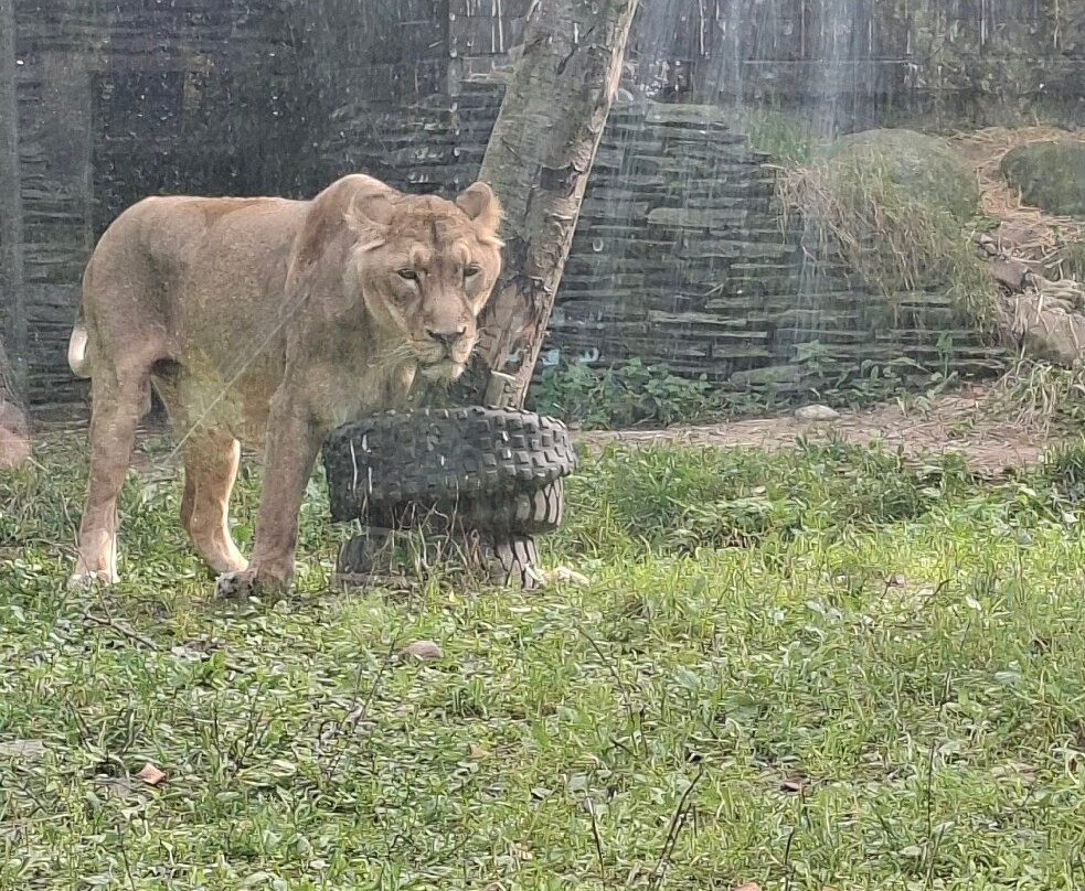 Korkeasaari Zoo-赫尔辛基必去景点