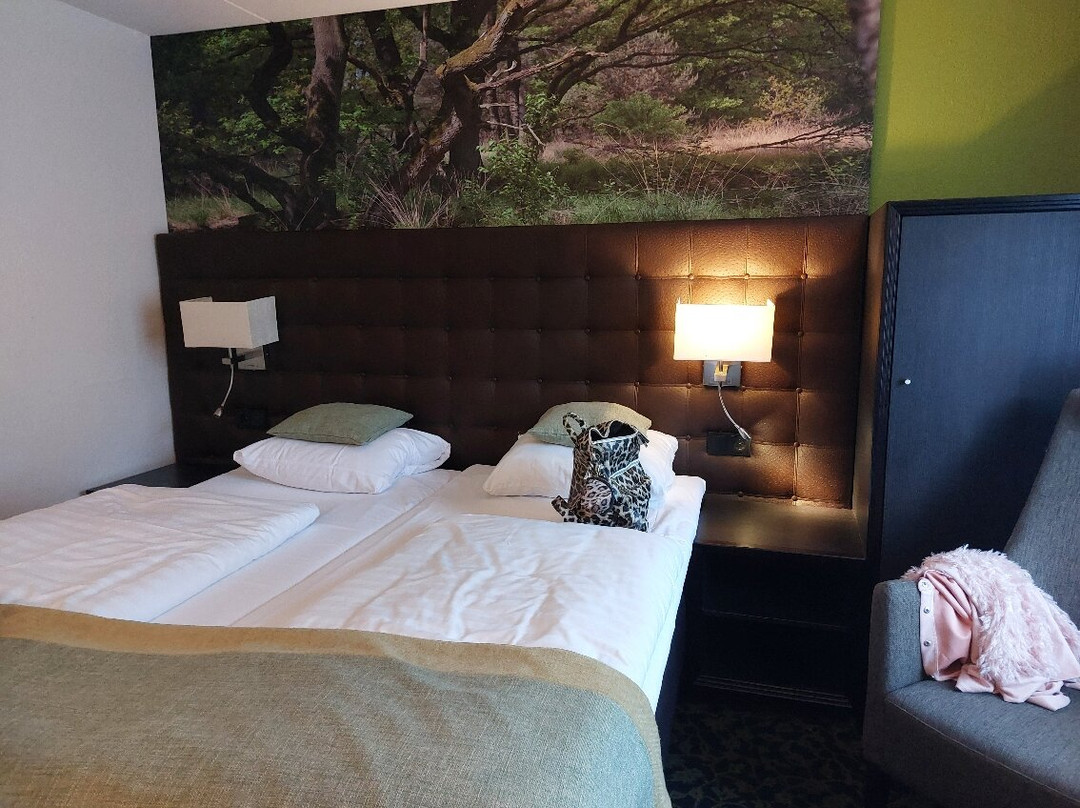 罕布什尔酒店主图