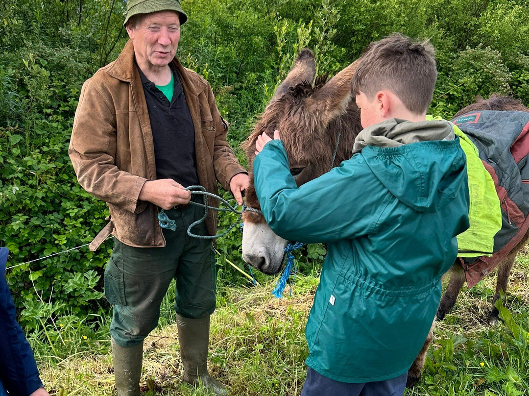 Ireland West Farm Stay-Charlestown必去景点