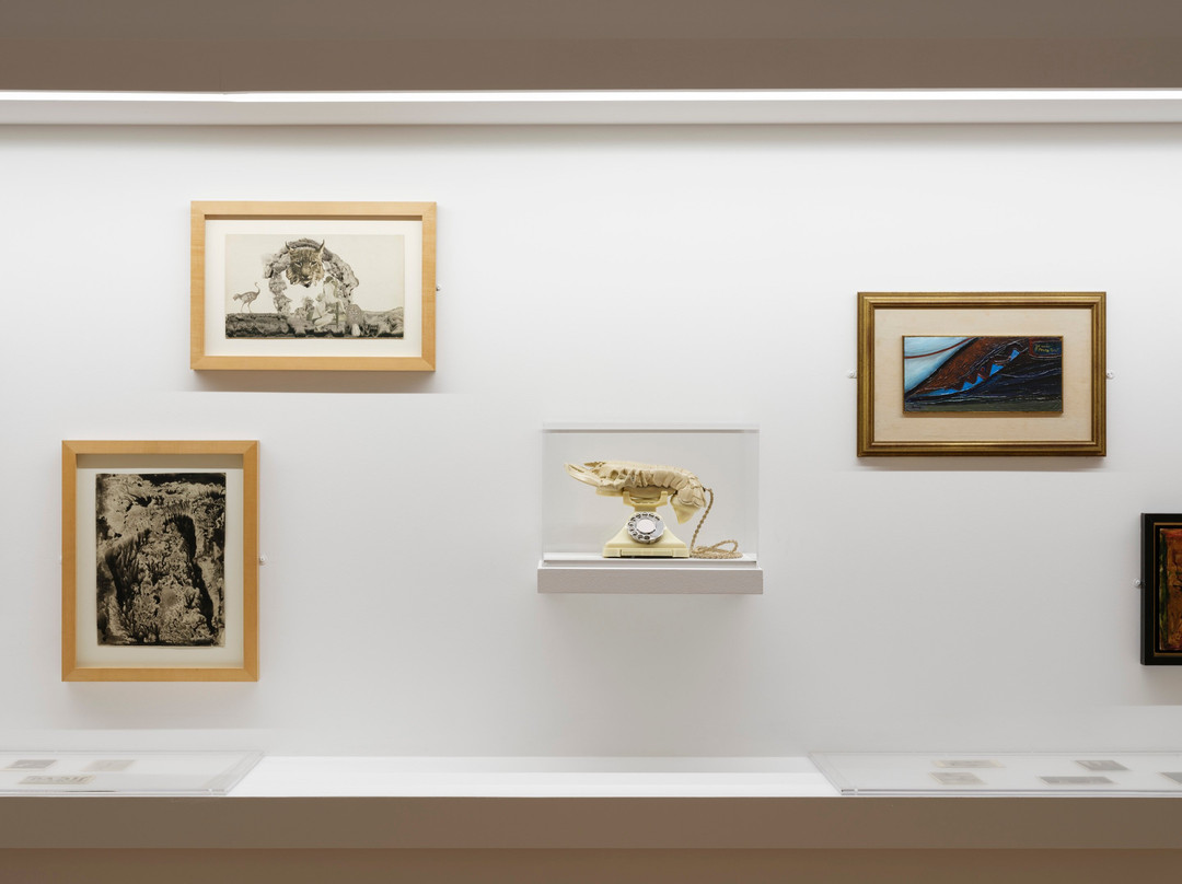 MAC/CCB – Museu de Arte Contemporânea e Centro de Arquitetura-里斯本必去景点