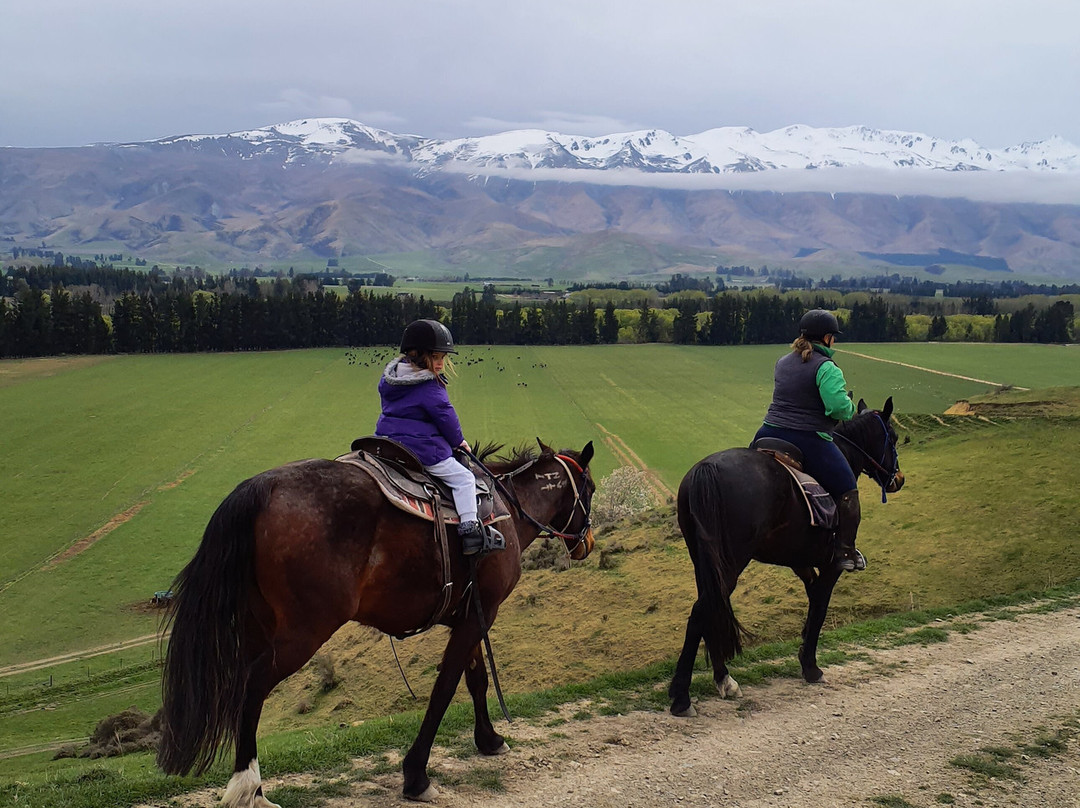 Real Kiwi Horse Trekking-菲尔利必去景点