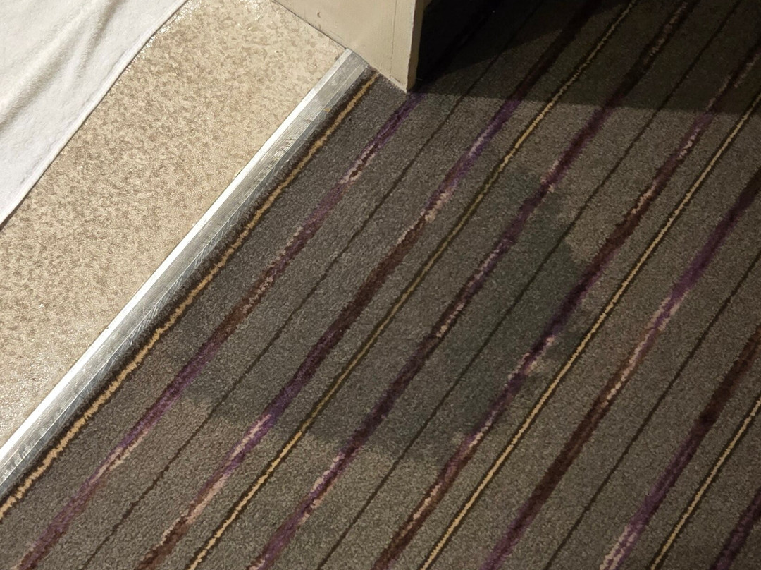 Premier Inn Edinburgh Park (Airport) hotel主图