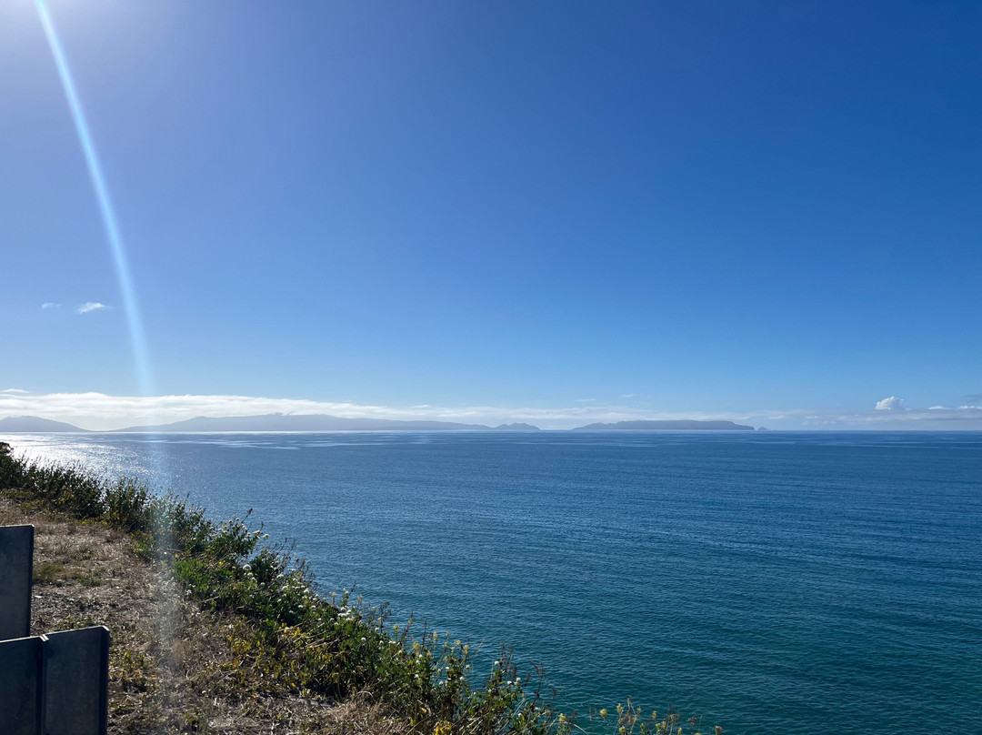 Spiky Beach Conservation Area-斯旺西必去景点