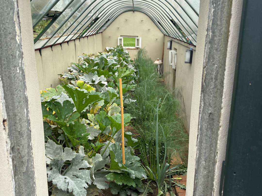 Azienda Agricola La Badiola-Matraia必去景点
