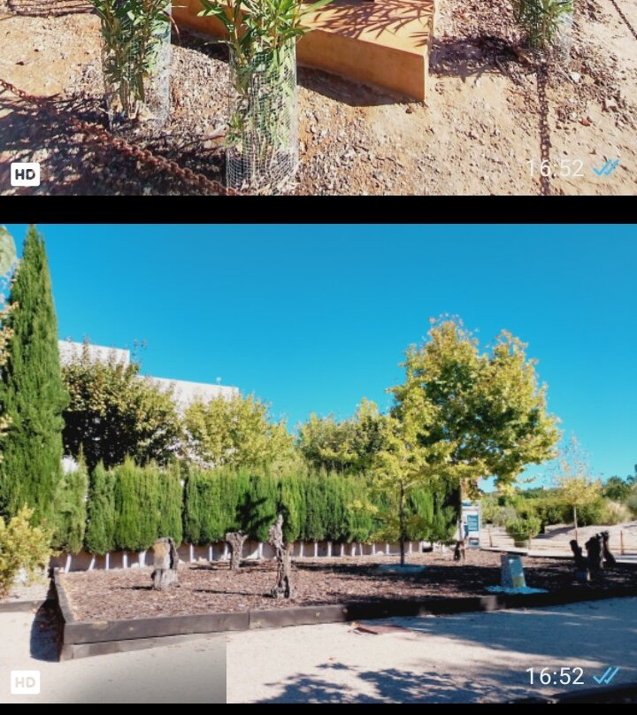 宜必思马德里阿尔甘达酒店主图