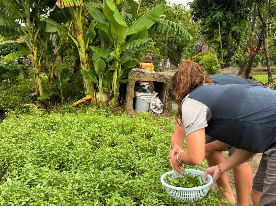 Trang An Farmhouse - Cooking Class-Ninh Hai必去景点