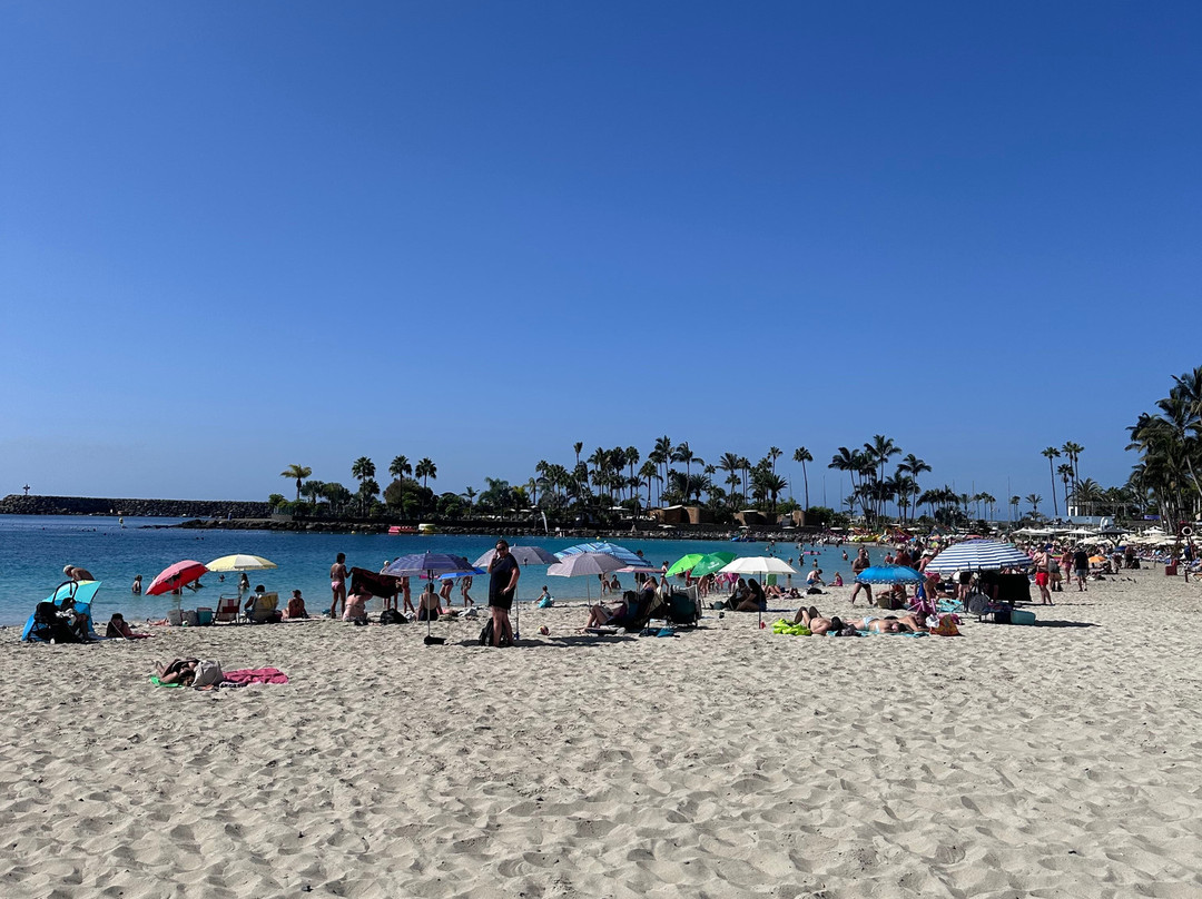 Anfi Playa-莫干山必去景点