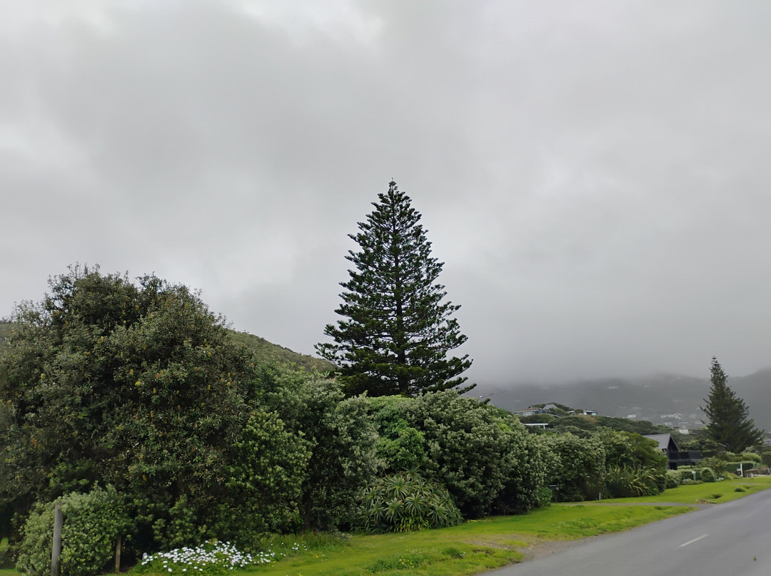 Kitekite Falls-皮哈海滩必去景点