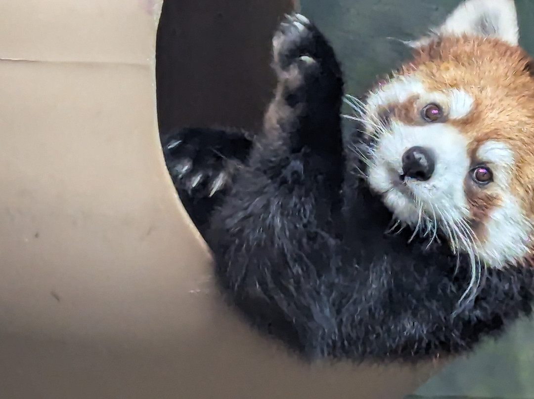 Greensboro Science Center-戈尔兹伯勒必去景点