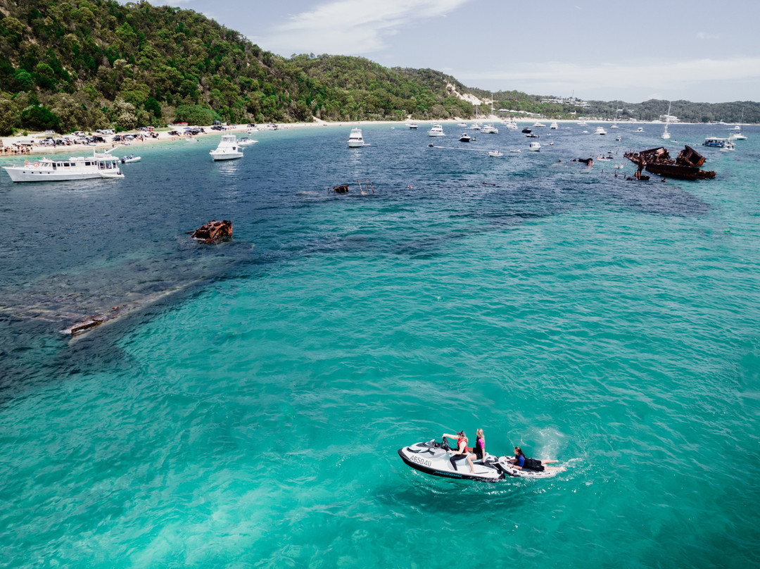 Dolphin Wild Island Cruises-布里斯班必去景点