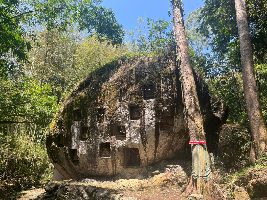 TORAJA UNIQUE-兰特包必去景点