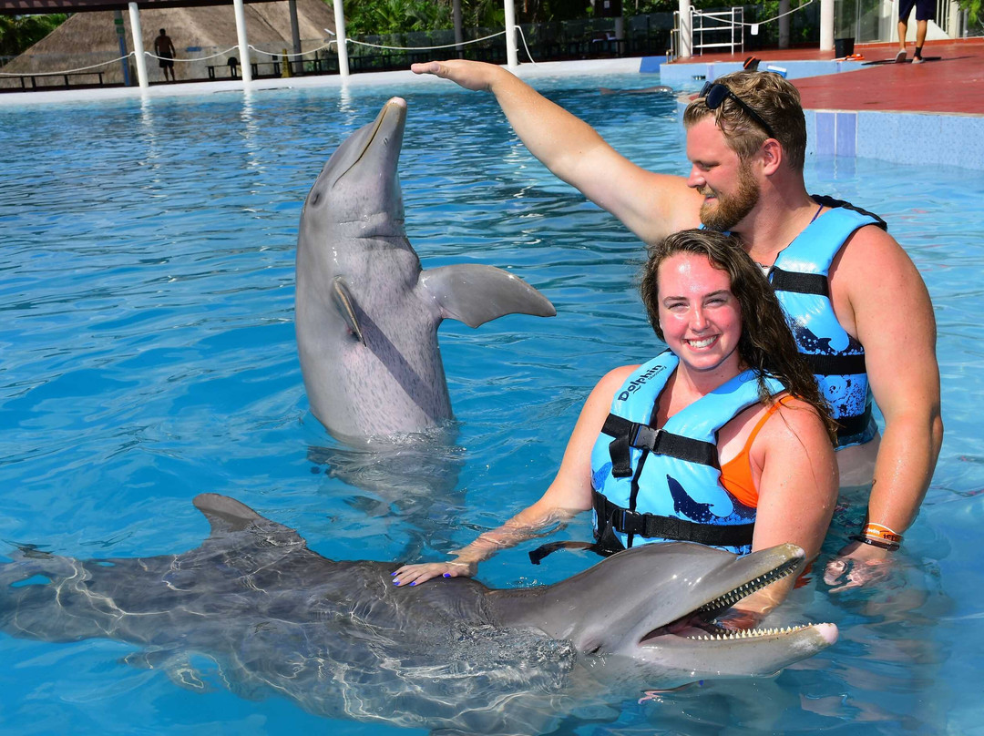Dolphin Discovery Tulum - Akumal-艾库玛尔必去景点