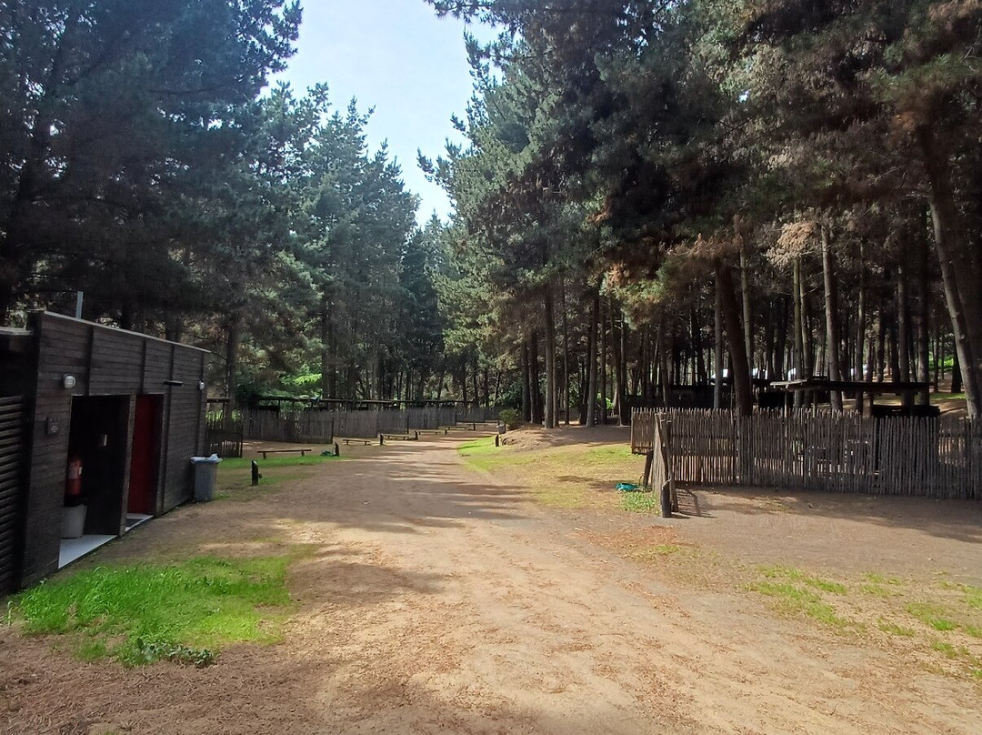 OMZ Olas de Matanzas主图