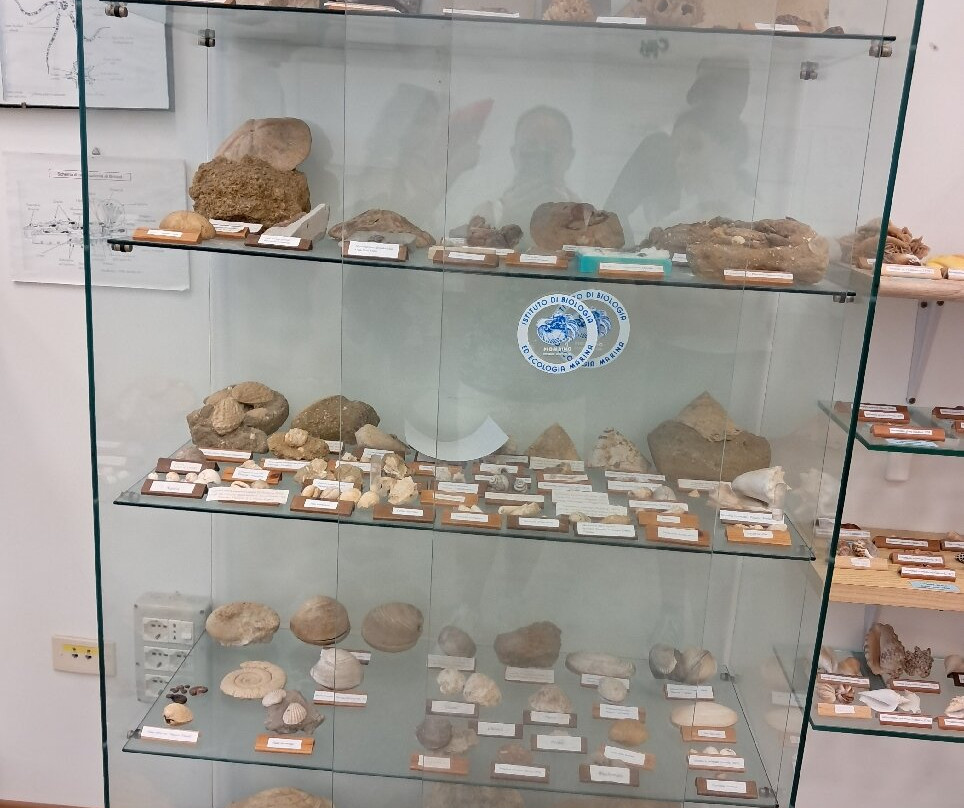 Museo del Mare-皮翁比诺必去景点