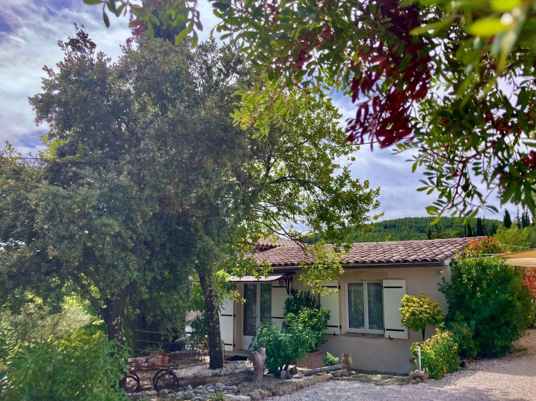 Maset Des Amandiers Maison D'Hotes