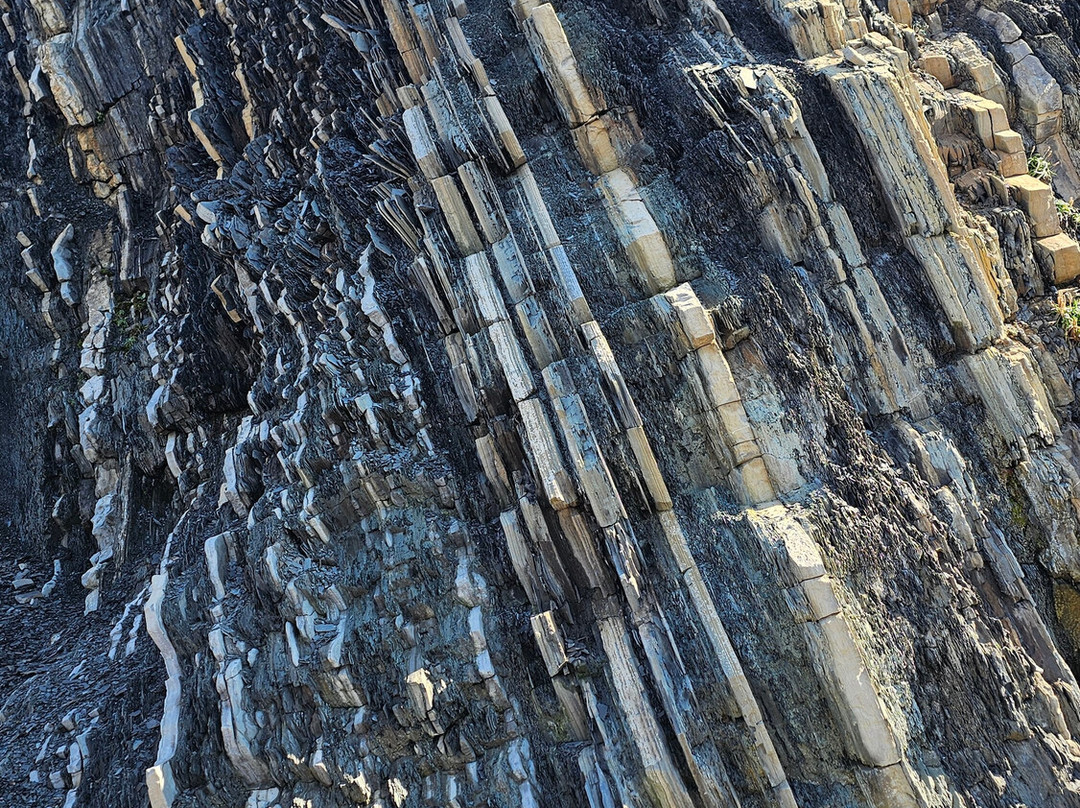 Gros Morne National Park-Rocky Harbour必去景点