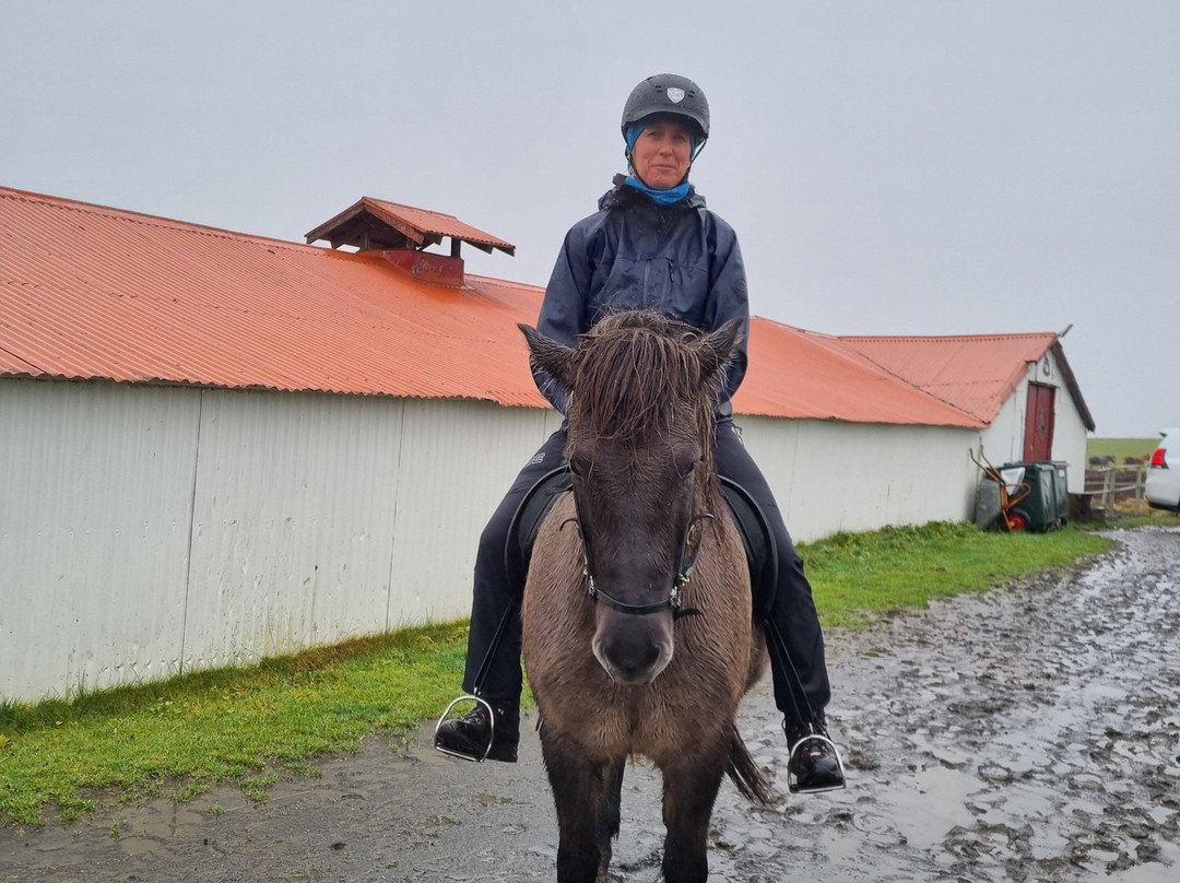 Riding Tours South Iceland-Fludir必去景点