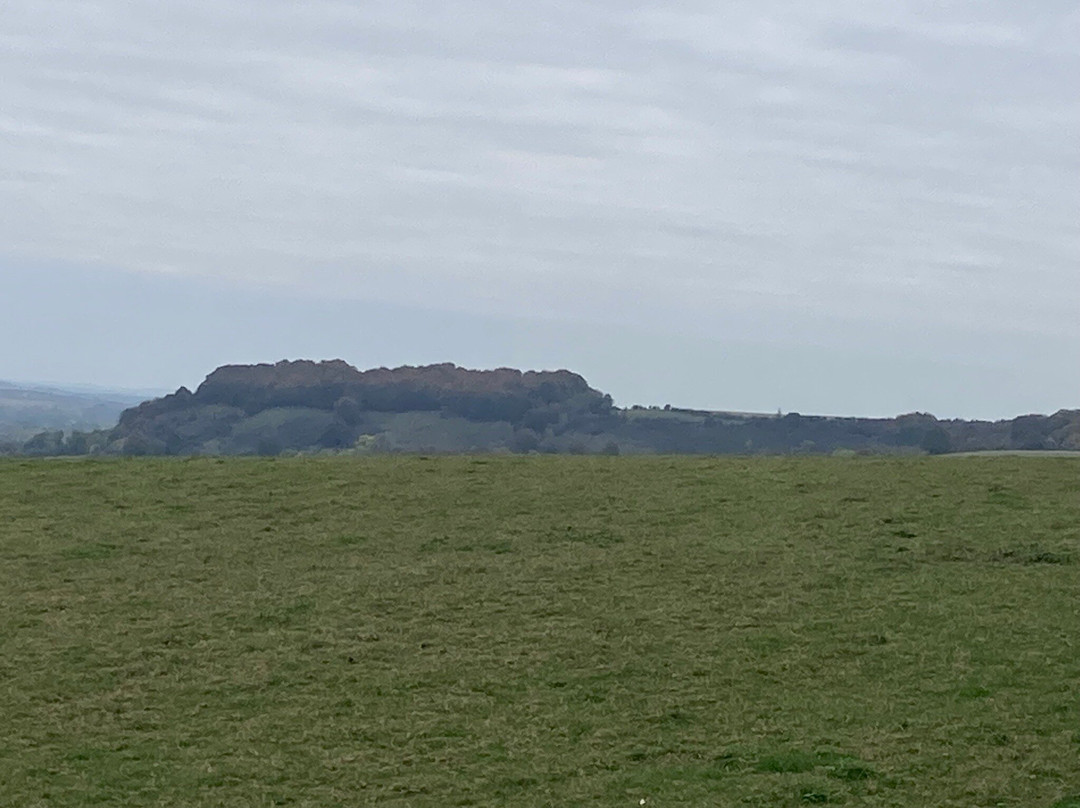 The Sharpenhoe Clappers-Barton-le-Clay必去景点