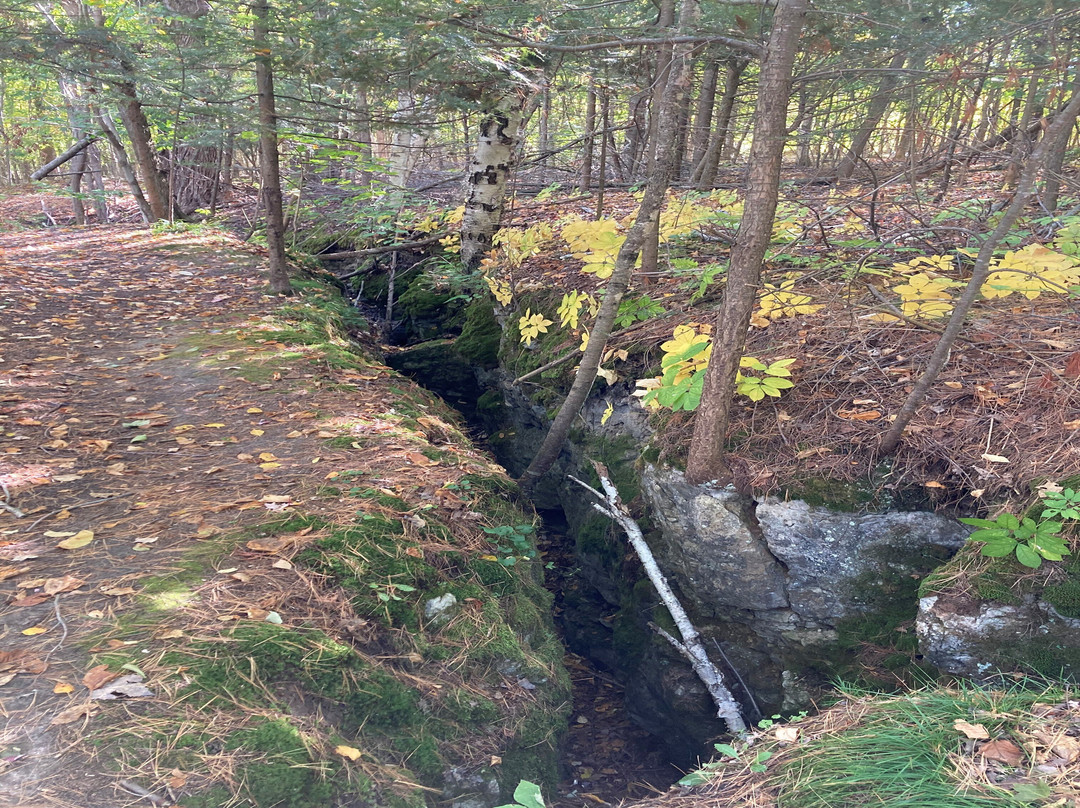 Mystery Valley Karst Preserve and Nature Sanctuary-Posen必去景点