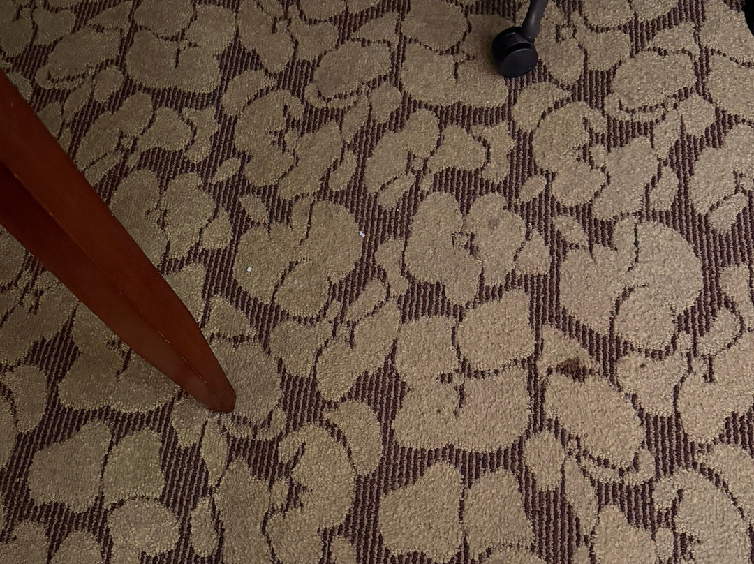 西门罗希尔顿花园酒店主图