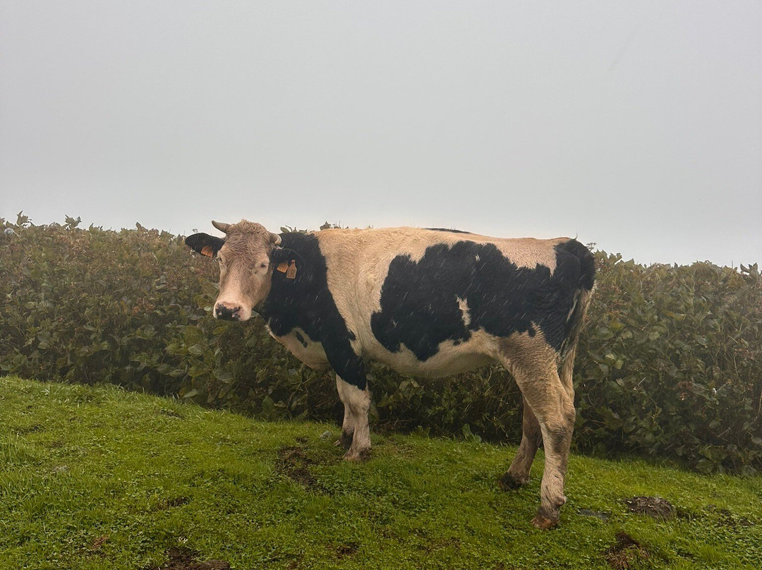 Paralelo 39 Actividades Turísticas-Corvo必去景点