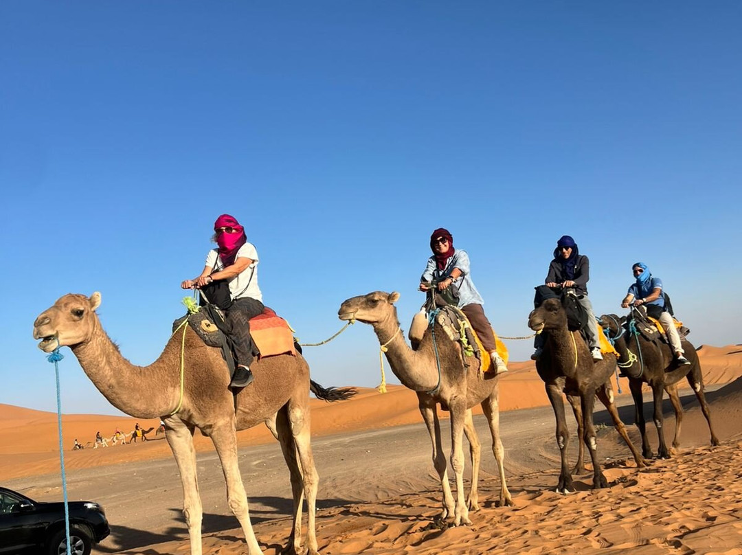 Marocco Tours-马拉喀什必去景点