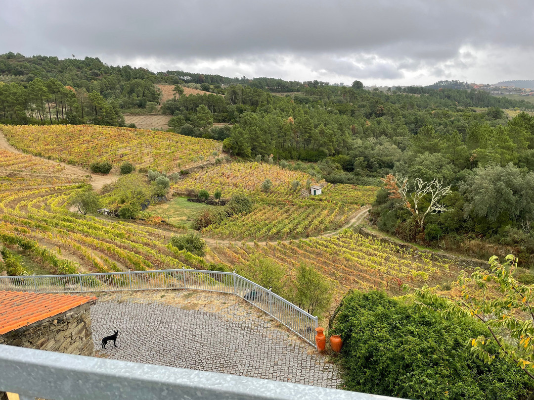 Quinta do Roncão-Vila Real必去景点