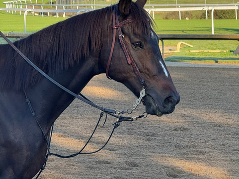 Kentucky Guides-路易斯维尔必去景点