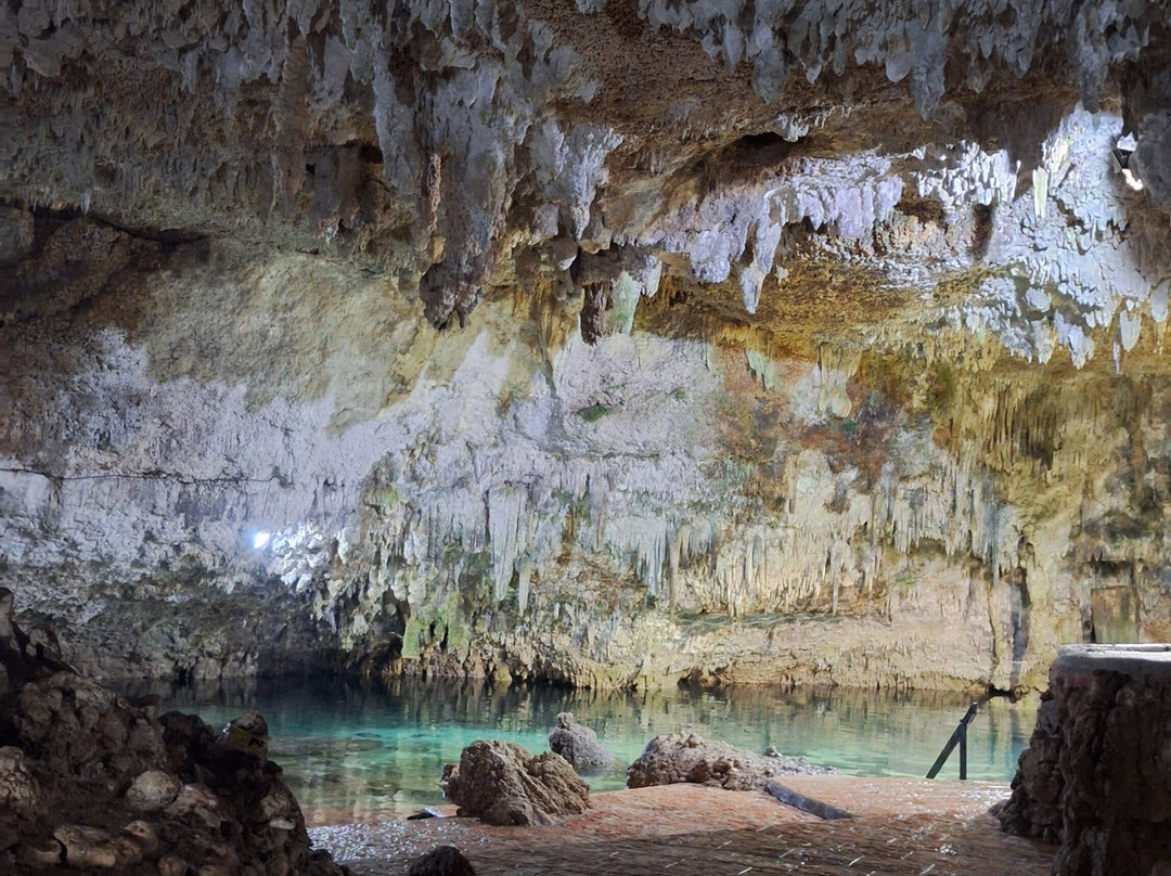 Paseo Tours-普拉亚德尔卡曼必去景点