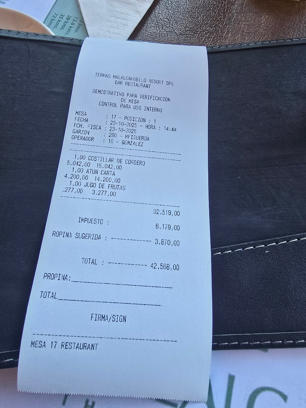 Malalcahuello Thermal Hotel & Spa-官方