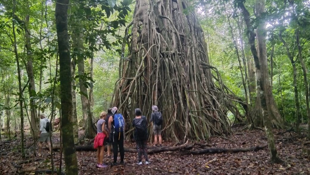 Ujung Kulon Trek-Carita必去景点