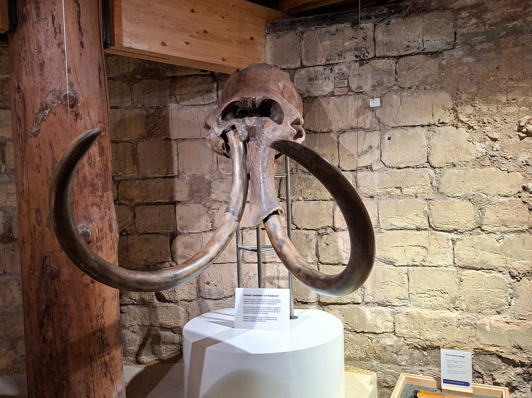 Museum De Bastei-奈梅亨必去景点