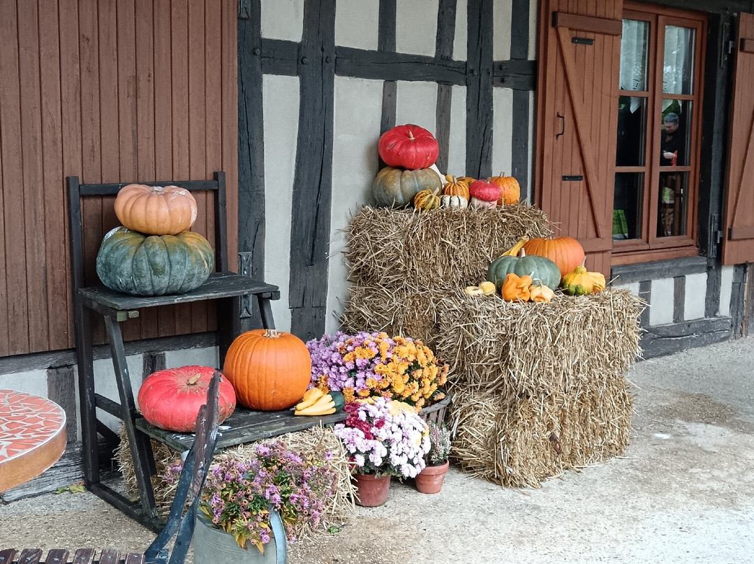 Village Musee du Der-Sainte-Marie-du-Lac-Nuisement必去景点