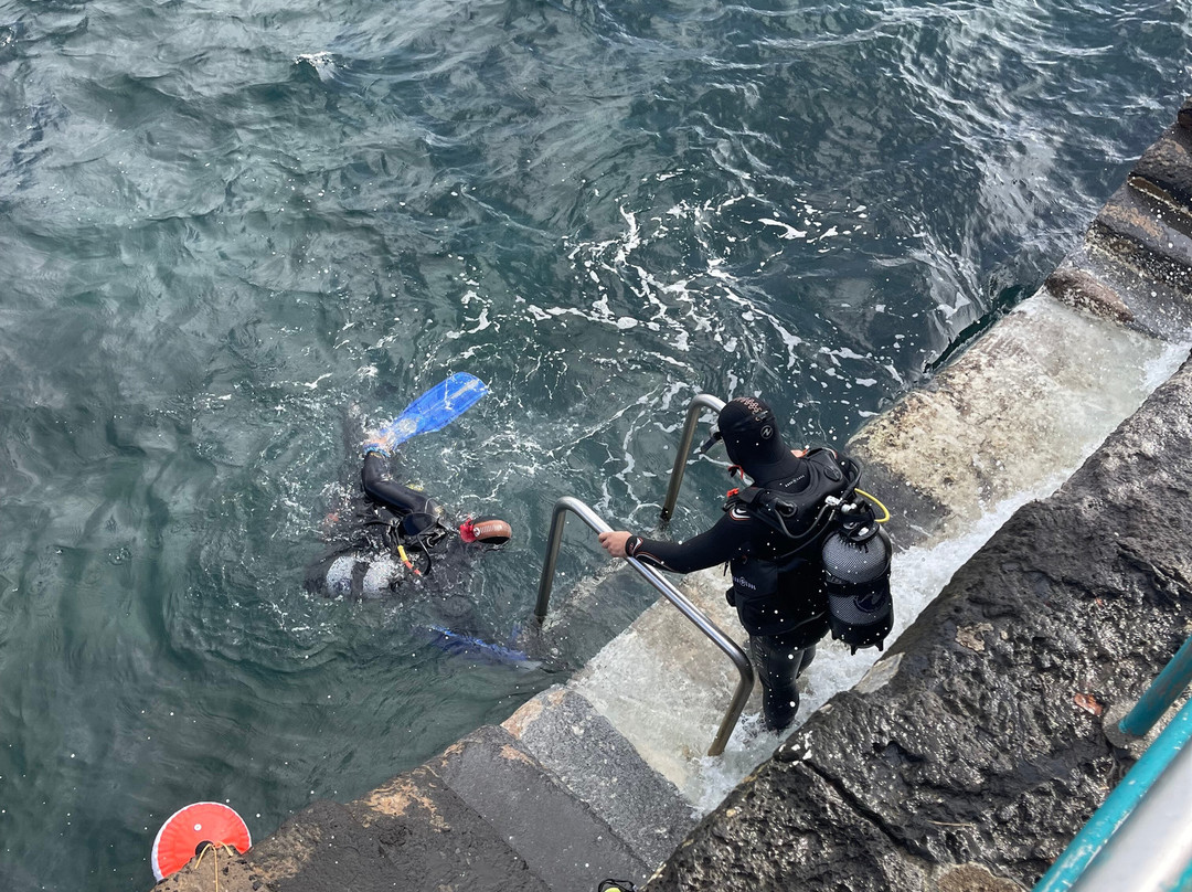 Octopus Diving Center-Praia da Vitória必去景点
