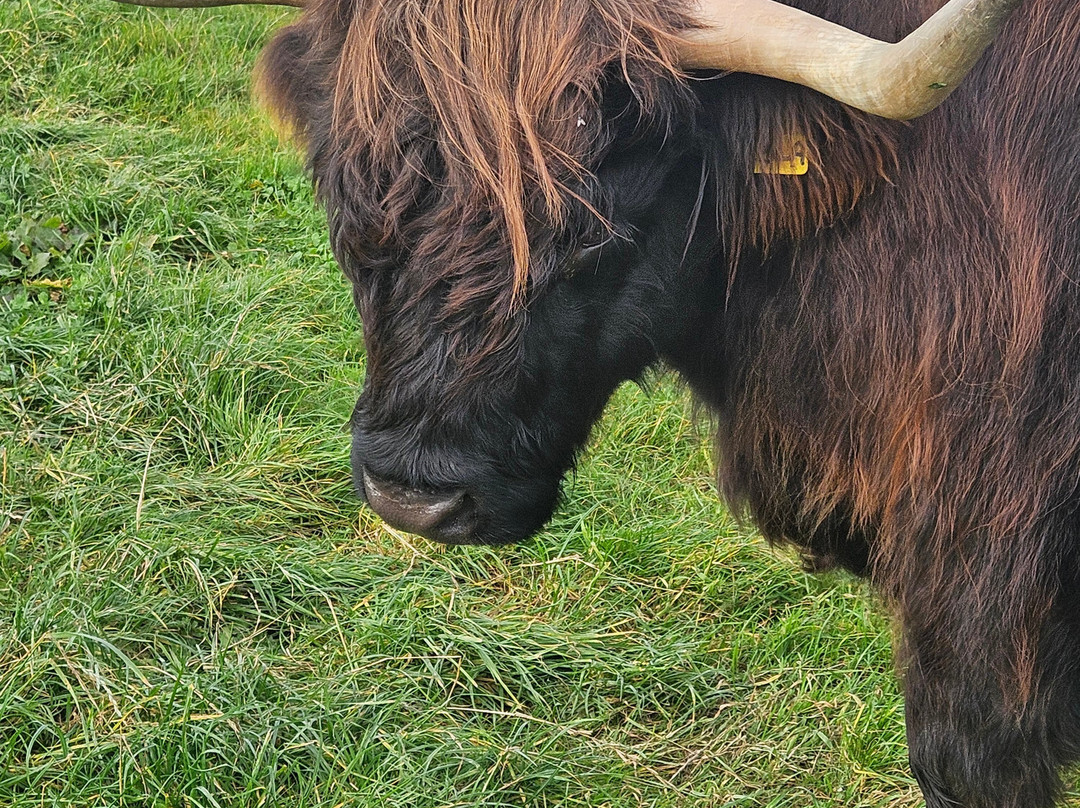 Newton Farm Holidays & Tours主图