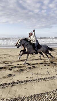 Horse Sidi Rahal-Sidi Rahal必去景点