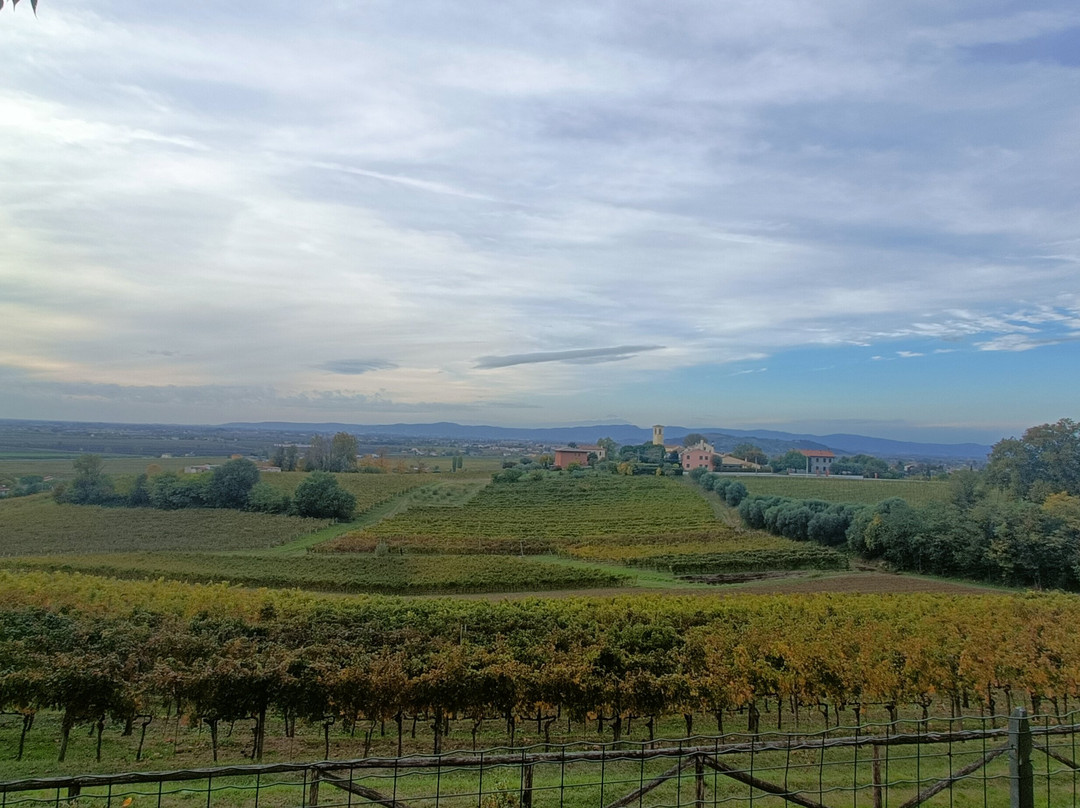 Vigna Ròda-Vo必去景点