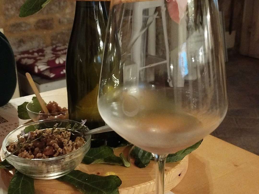 Tenuta La Macchia-Montescudaio必去景点