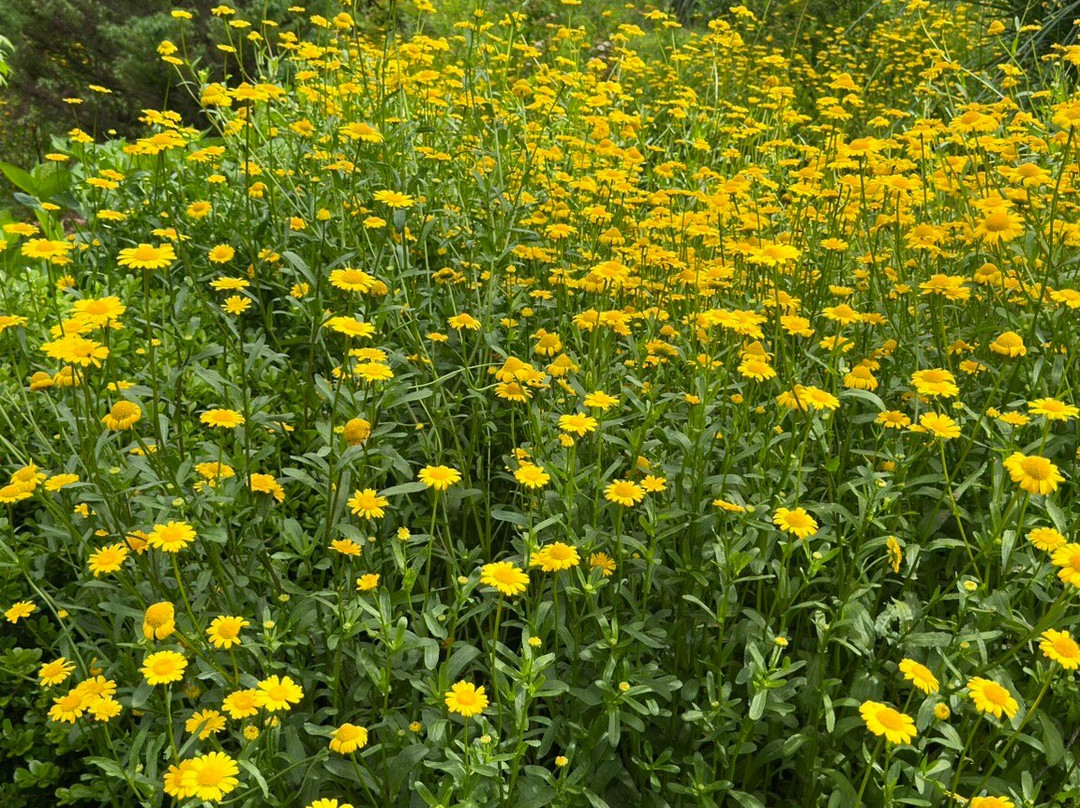 Jardim Secreto Ville de France-Urubici必去景点